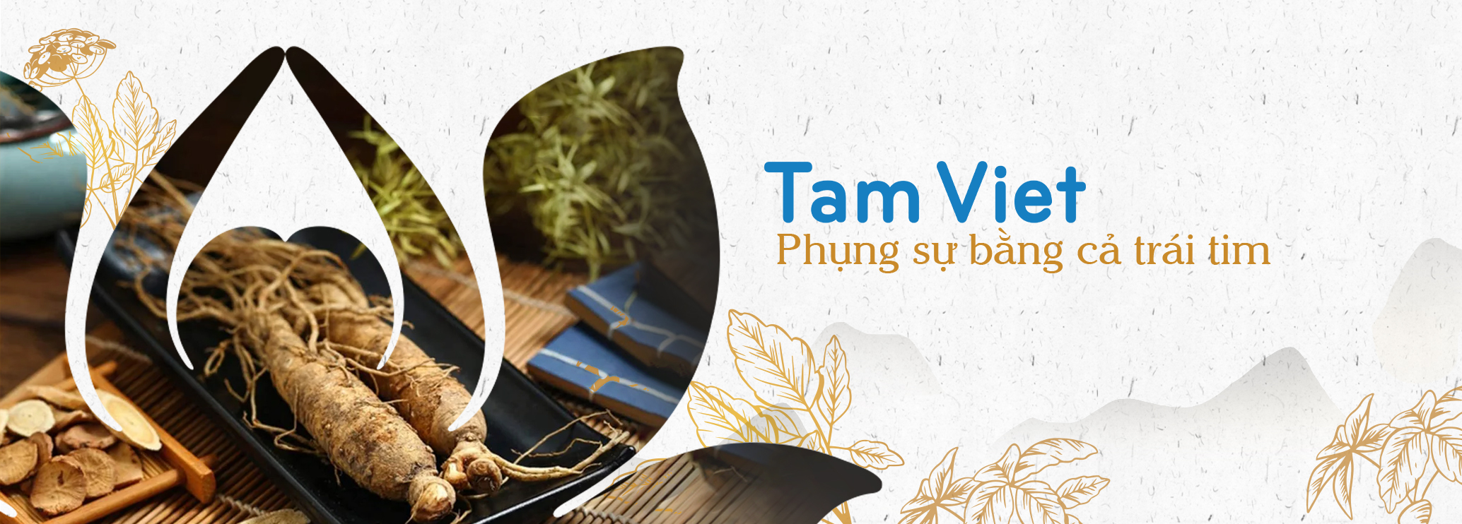 Slide trang tin tức